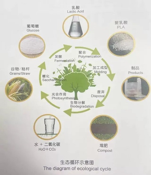 1646646418998686.jpg 2.jpg